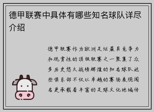 德甲联赛中具体有哪些知名球队详尽介绍